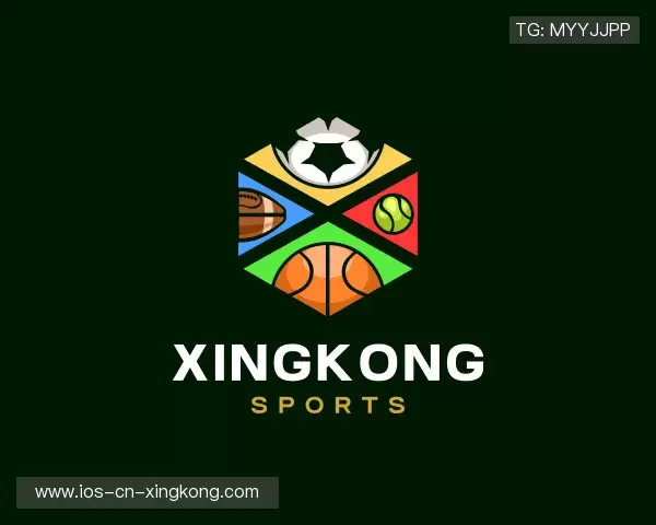 关于XINGKONG中国官网